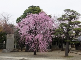 DSCF0155no2.jpg