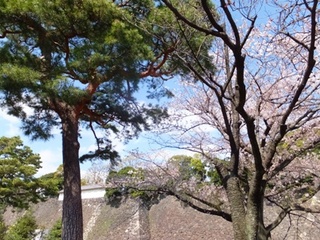 DSCF04050731.jpg