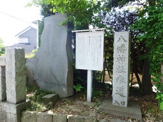 DSCF05113369.jpg