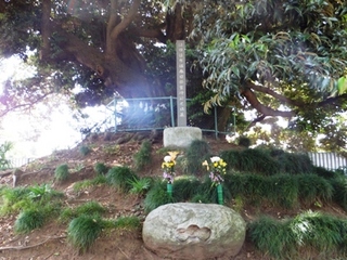 DSCF05113432.jpg