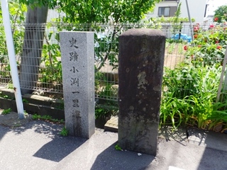 DSCF05113458.jpg