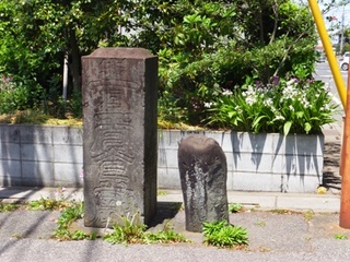 DSCF05113472.jpg