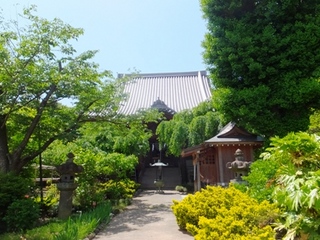 DSCF05113495.jpg