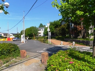 DSCF05113589.jpg