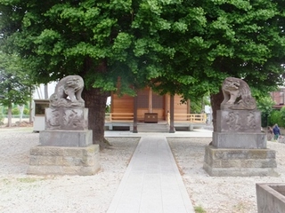 DSCF05114031.jpg