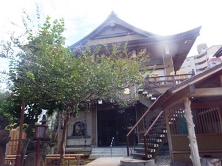DSCF10174450.jpg