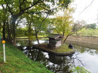 DSCF11024877.jpg