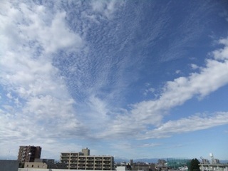 DSCF15309.jpg