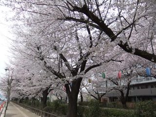 DSCF19609.jpg