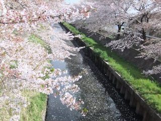 DSCF19641.jpg