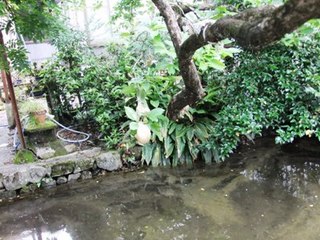 DSCF20973.jpg
