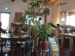 DSCF3254no2.jpg