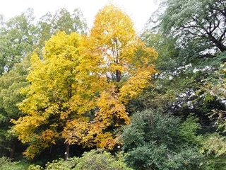DSCF3837no2.JPG