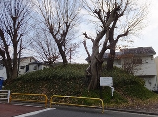 DSCF4674no2.JPG