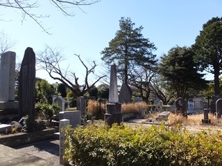 DSCF6927no2.JPG