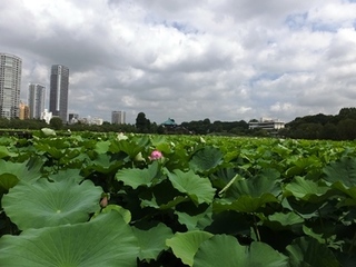DSCF6963no2.JPG