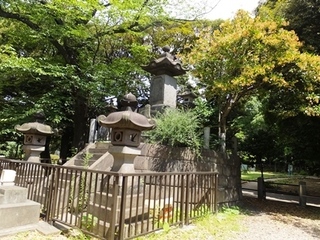 DSCF6987no2.JPG