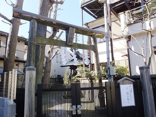 DSCF7847no2.JPG