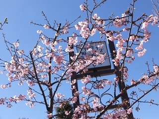 DSCF7980no2.JPG