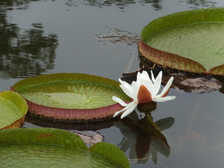 DSCF8127.JPG