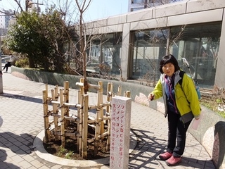 DSCF8683no2.JPG