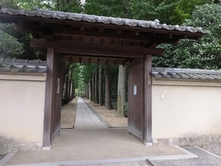 DSCF8784no2.JPG