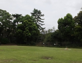 DSCF8832no2.JPG