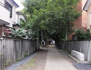 DSCF8926no2.JPG