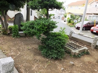 DSCF9158no2.JPG