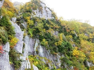 DSCF9209no2.JPG