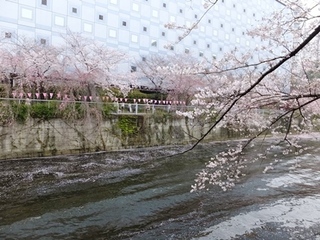 DSCF9804no2.JPG