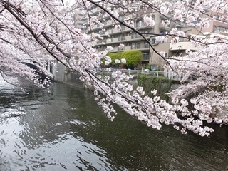 DSCF9815no2.JPG