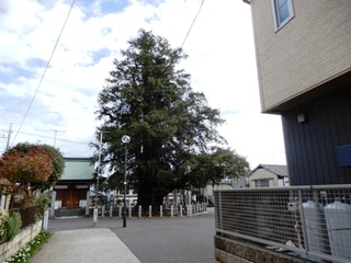 DSCN0046no2.JPG