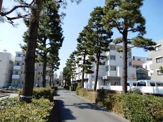 DSCN3942no2.JPG