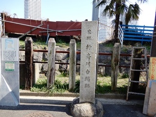 DSCN4062no2.JPG