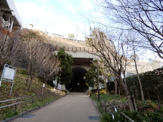 DSCN4197no2.JPG