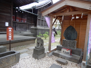 DSCN4698.JPG