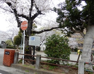 DSCN4704no2.JPG
