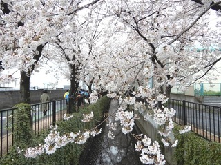 DSCN4762no2.JPG