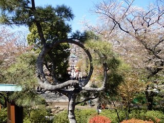 DSCN5210no2.JPG
