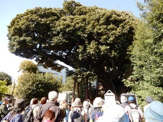 DSCN5448no2.JPG