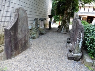 DSCN7285no2.JPG