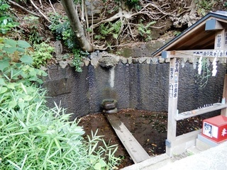 DSCN7303no2.JPG