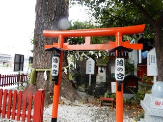 DSCN7931no2.JPG