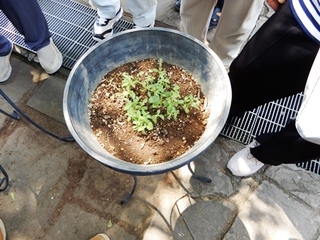DSCN8134no2.JPG
