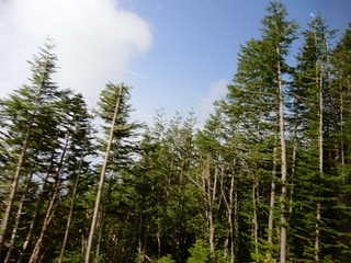 DSCN8180no2.JPG