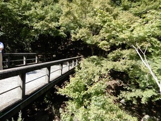 DSCN9536no2.JPG