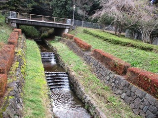 IMG_1105no2.JPG