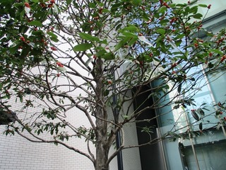 IMG_1297no2.JPG