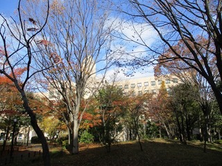 IMG_1365no2.JPG